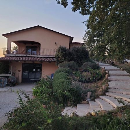 Pensjonat La Residenza Di Campagna Manciano Zewnętrze zdjęcie