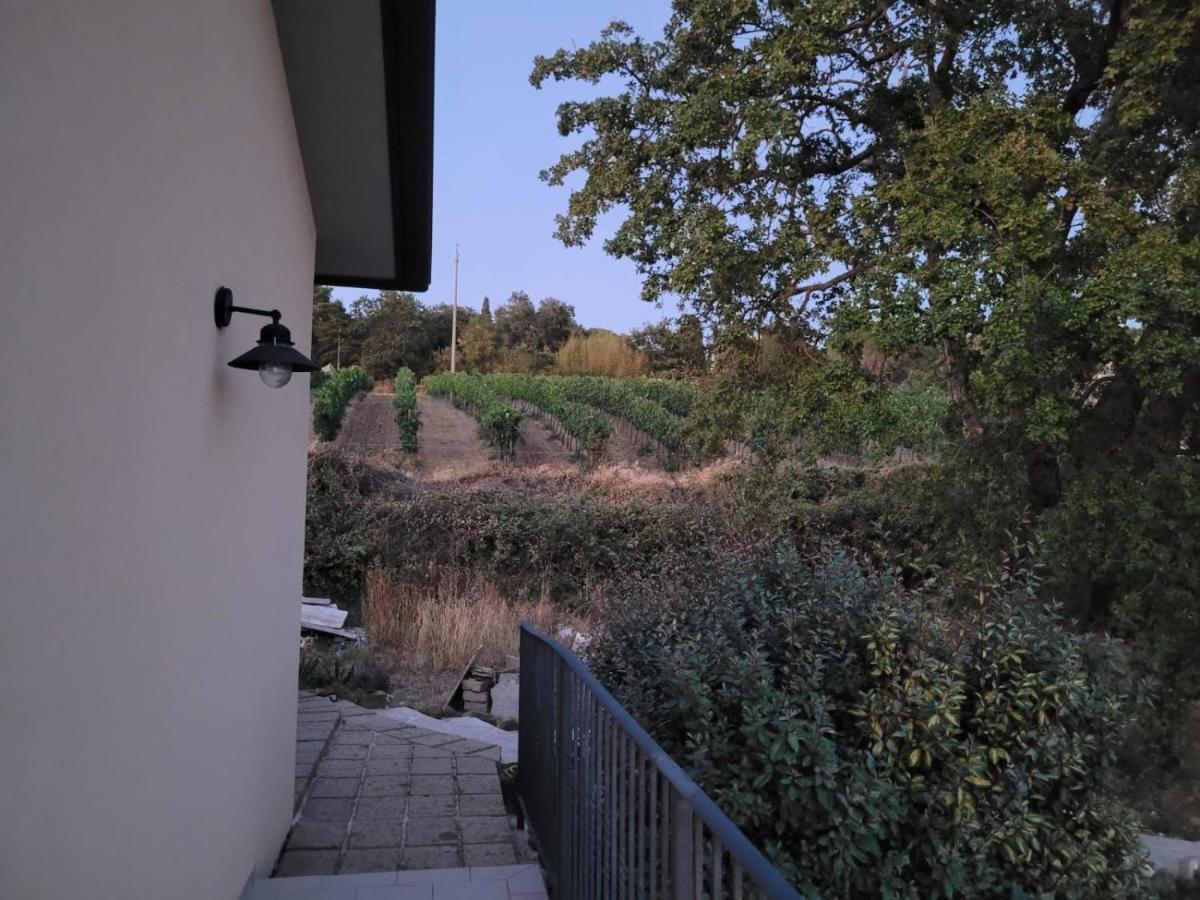 Pensjonat La Residenza Di Campagna Manciano Zewnętrze zdjęcie