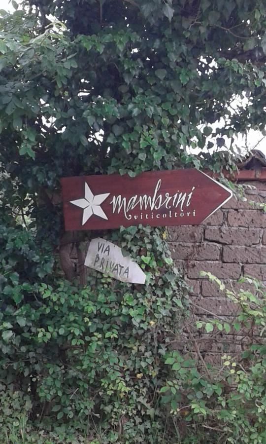 Pensjonat La Residenza Di Campagna Manciano Zewnętrze zdjęcie